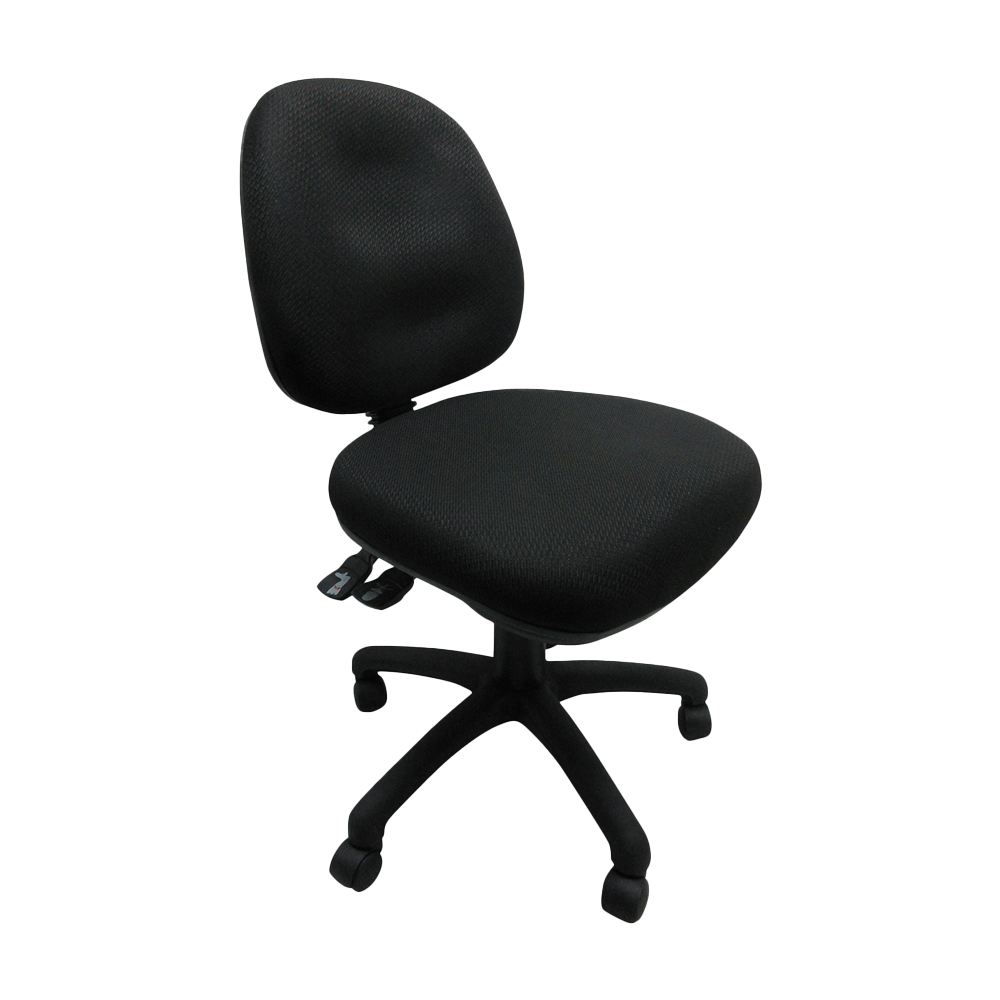 Ergos Plus Task Chair Medium Back